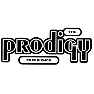 The Prodigy — Experience