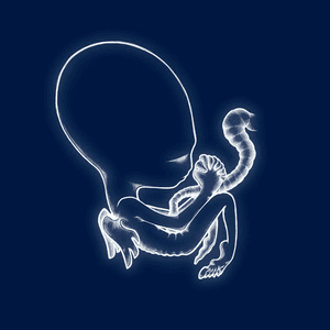 Sigur Rós — Ágætis byrjun