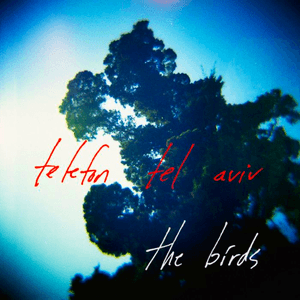 Telefon Tel Aviv — The Birds