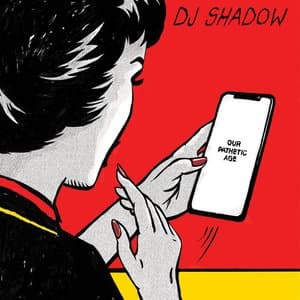 DJ Shadow — Our Pathetic Age