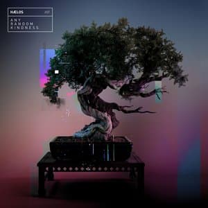 HÆLOS — Any Random Kindness