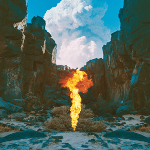 Bonobo — Migration