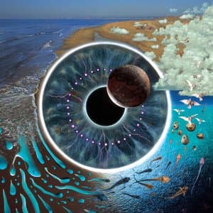 Pink Floyd — Pulse